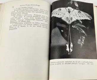 FIEDLER - ŻARLIWA WYSPA BENIOWSKIEGO Londyn 1944. Wyd.1 - 5