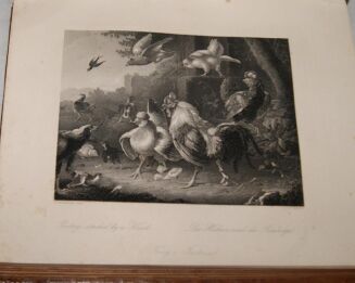 PATHIE - GALERYA DREZDEŃSKA zbiór rycin na stali z najcelniejszych obrazów tej Galeryi T.I-II staloryty 1850r. SKÓRA - 11