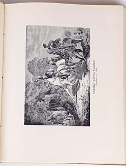 POTOCKI- GROTTGER półskórek - 19