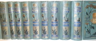 BIBLIOTEKA PISARZY POLSKICH KAROLA MIARKI. KONDRATOWICZ, KRASIŃSKI, SŁOWACKI - DZIEŁA 10 wol. secesyjne oprawy - 2