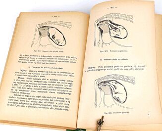 DOBRZAŃSKI- PODRĘCZNIK WETERYNARII 1939 ryciny - 4
