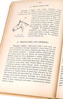 DOBRZAŃSKI- PODRĘCZNIK WETERYNARII 1939 ryciny - 6