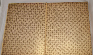 GAWALEWICZ; STACHIEWICZ- KRÓLOWA NIEBIOS wyd. 1895  - 3