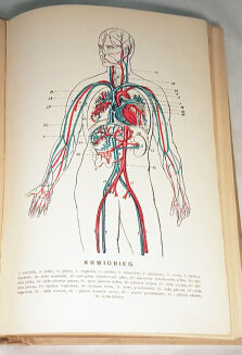 VERDMON - KURACJA ROŚLINNA wyd. 1936r. barwne tablice - 3