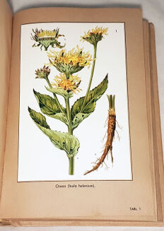 VERDMON - KURACJA ROŚLINNA wyd. 1936r. barwne tablice - 4