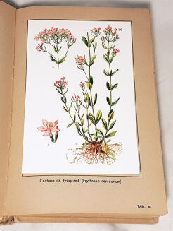 VERDMON - KURACJA ROŚLINNA wyd. 1936r. barwne tablice - 8