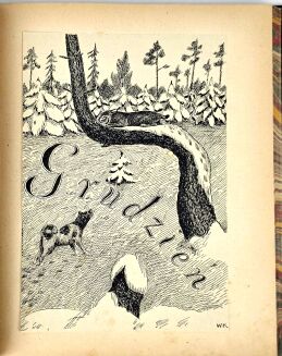 KORSAK- ROK MYŚLIWEGO wyd. 1922, oprawa luksusowa skóra - 6