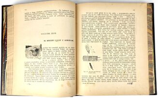 KORSAK- ROK MYŚLIWEGO wyd. 1922, oprawa luksusowa skóra - 9