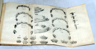 KUROWSKI - NAUKA LECZENIA CHORÓB ZWIERZĄT DOMOWYCH wyd. 1836 tablice; hodowla koni - 6