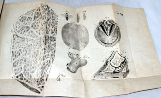 KUROWSKI - NAUKA LECZENIA CHORÓB ZWIERZĄT DOMOWYCH wyd. 1836 tablice; hodowla koni - 8