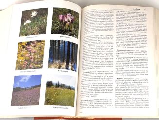 PARYSCY- WIELKA ENCYKLOPEDIA TATRZAŃSKA półskórek - 5