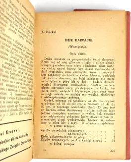 KALENDARZ MYŚLIWSKI 1938, proweniencja Adam Potocki. - 7