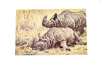 DYGASIŃSKI - WIELKIE ŁOWY 1927 ilustr. - 6