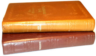 MICKIEWICZ - PAN TADEUSZ, WIERSZE wyd. Czytelnik 1974, 1969r. SKÓRA - 3