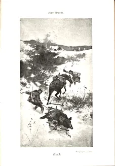 KALENDARZ MYŚLIWSKI ILUSTROWANY na rok 1901 - 3