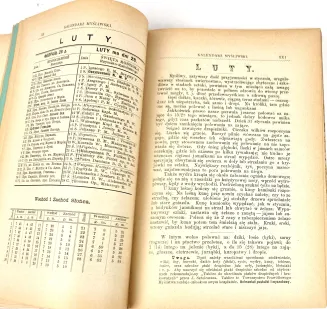 KALENDARZ MYŚLIWSKI ILUSTROWANY na rok 1901 - 7