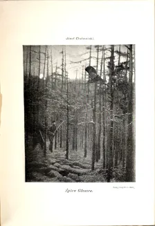 KALENDARZ MYŚLIWSKI ILUSTROWANY na rok 1901 - 9