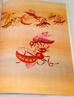 BONSELS- PSZCZÓŁKA MAJA wyd. I ilustracje - 6