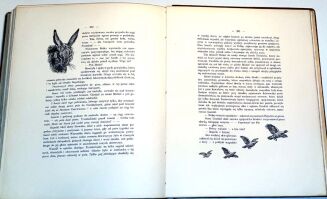 WEYSSENHOFF- SOBÓL I PANNA. CYKL MYŚLIWSKI oprawa Karola Wójcika - 9