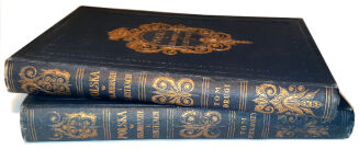 BUŁHAK- POLSKA W KRAJOBRAZIE I ZABYTKACH t.1-2 (komplet) wyd.1930 OPRAWA RADZISZEWSKI - 2