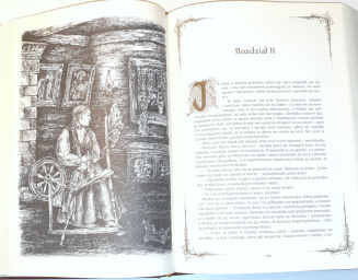 REYMONT - CHŁOPI skóra ilustracje Beata Sajewska - 4