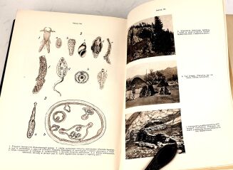 ŚWIAT I ŻYCIE Zarys encyklopedyczny współczesnej wiedzy i kultury t.1-5 [komplet] - 12