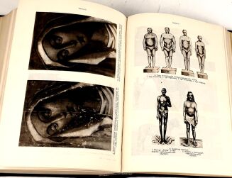 ŚWIAT I ŻYCIE Zarys encyklopedyczny współczesnej wiedzy i kultury t.1-5 [komplet] - 13