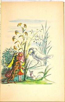 CARROLL - ALICJA W KRAINIE CZAROW / ALICE IN WONDERLAND illustrated by Siemaszko 1955 - 10