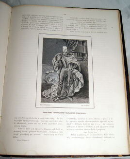 SKIMBOROWICZ, GERSON- WILLANÓW. ALBUM wyd. 1877 oprawa - 18