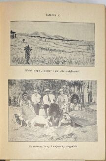 PISULIŃSKI - SZLAKIEM SŁONIA AFRYKAŃSKIEGO Wrażenia z podróży i polowań w Afryce Środkowej wyd. 1927r. ILUSTRACJE myślistwo - 9