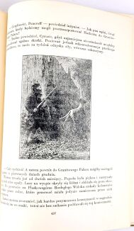 VERNE - TAJEMNICZA WYSPA wyd. 1955r. bardzo ładny egzemplarz - 7