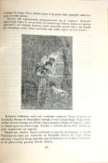 VERNE - TAJEMNICZA WYSPA wyd. 1955r. ładny egzemplarz - 8
