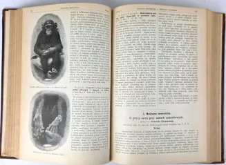 NOWINY LEKARSKIE. R. XVI. Poznań 1904 - 4