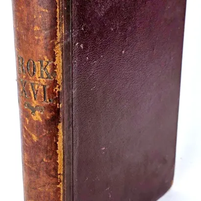 NOWINY LEKARSKIE. R. XVI. Poznań 1904