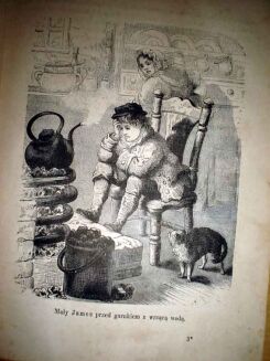 BRANDON; OTTON; BARTH- ZŁOTA KSIĄZKA. ŻYCIORYSY SŁAWNYCH LUDZI wyd. 1883r. DRZEWORYTY - 3