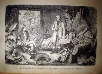 BRANDON; OTTON; BARTH- ZŁOTA KSIĄZKA. ŻYCIORYSY SŁAWNYCH LUDZI wyd. 1883r. DRZEWORYTY - 5