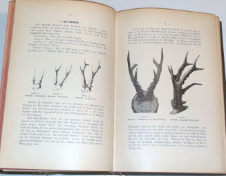 OBERLÄNDER - DER LEHRPRINZ, EIN FÜHRER FÜR ANGEHENDE JÄGER MIT BESONDERER BERÜCKSICHTIGUNG DER INTERESSEN DES REVIERINHABERS UND JAGDVERWALTERS. - 6