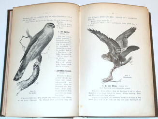 OBERLÄNDER - DER LEHRPRINZ, EIN FÜHRER FÜR ANGEHENDE JÄGER MIT BESONDERER BERÜCKSICHTIGUNG DER INTERESSEN DES REVIERINHABERS UND JAGDVERWALTERS. - 8