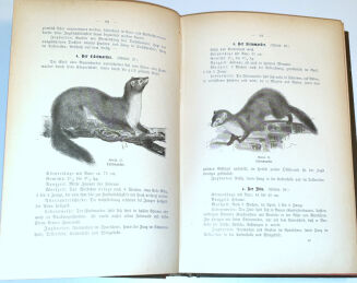 OBERLÄNDER - DER LEHRPRINZ, EIN FÜHRER FÜR ANGEHENDE JÄGER MIT BESONDERER BERÜCKSICHTIGUNG DER INTERESSEN DES REVIERINHABERS UND JAGDVERWALTERS. - 10