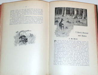 OBERLÄNDER - DER LEHRPRINZ, EIN FÜHRER FÜR ANGEHENDE JÄGER MIT BESONDERER BERÜCKSICHTIGUNG DER INTERESSEN DES REVIERINHABERS UND JAGDVERWALTERS. - 9