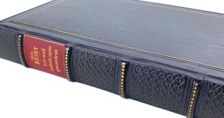 KESEY - LOT NAD KUKUŁCZYM GNIAZDEM wyd.1, skóra - 3