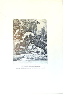 NAŁĘCZ-GOSTOMSKA - ECHA STAROPOLSKIEJ KNIEI  - 2