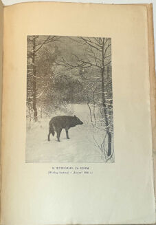 NAŁĘCZ-GOSTOMSKA - ECHA STAROPOLSKIEJ KNIEI  - 3