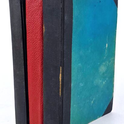 BURROUGHS- PRZYGODY TARZANA -CZŁOWIEKA LEŚNEGO Powieść egzotyczna. 8 częśći. Pierwsze polskie wydania