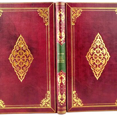 RADZIWIŁŁ - ŻYWOT XIĘCIA BOGUSŁAWA RADZIWIŁŁA 1841