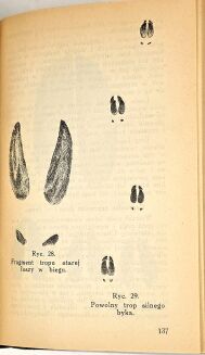 KALENDARZ MYŚLIWSKI 1932 - 6