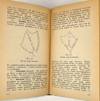 KALENDARZ MYŚLIWSKI 1932 - 7