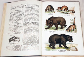 LAMPERT- ATLAS PAŃSTWA ZWIERZĘCEGO T.1-3 - 4