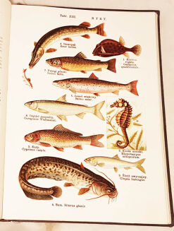 LAMPERT- ATLAS PAŃSTWA ZWIERZĘCEGO T.1-3 - 17