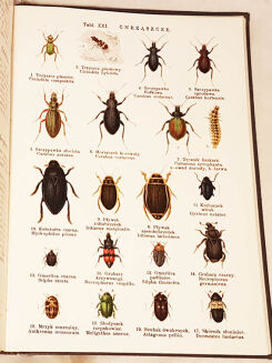 LAMPERT- ATLAS PAŃSTWA ZWIERZĘCEGO T.1-3 - 18